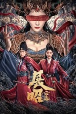 История Детектива Чжан Жао